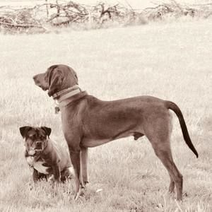 Meet your Posher, Stephen